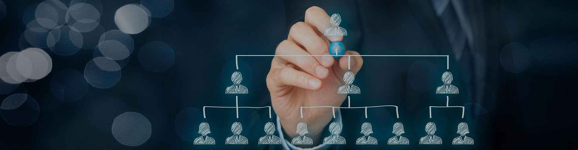 Trường Hải Quan Việt Nam