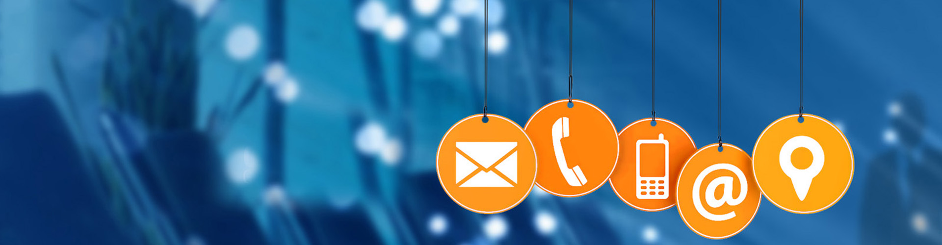 Trường Hải Quan Việt Nam